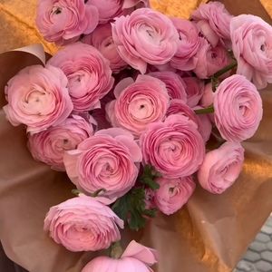 Meet your Posher, Jane